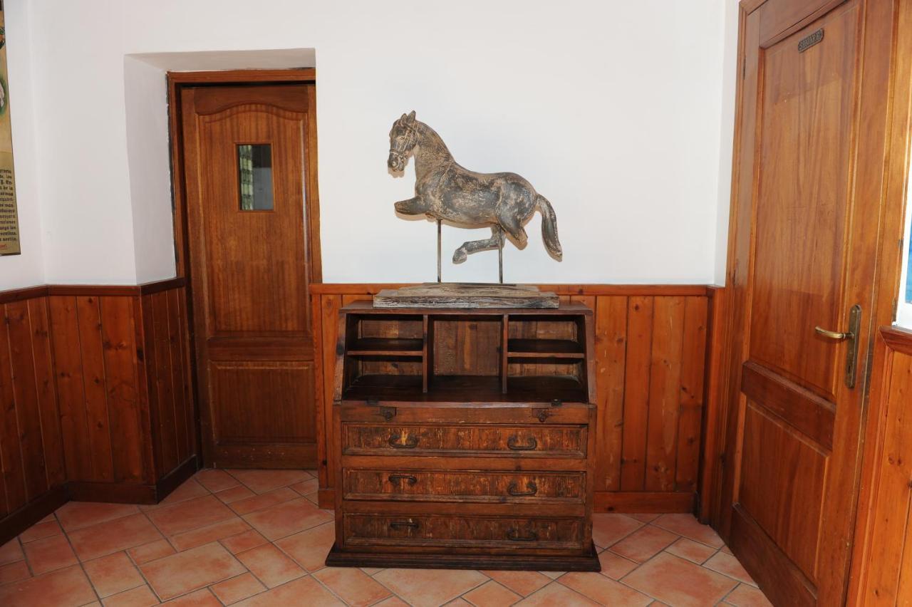 Bed and Breakfast Torre Balzano Valenzano Exterior foto